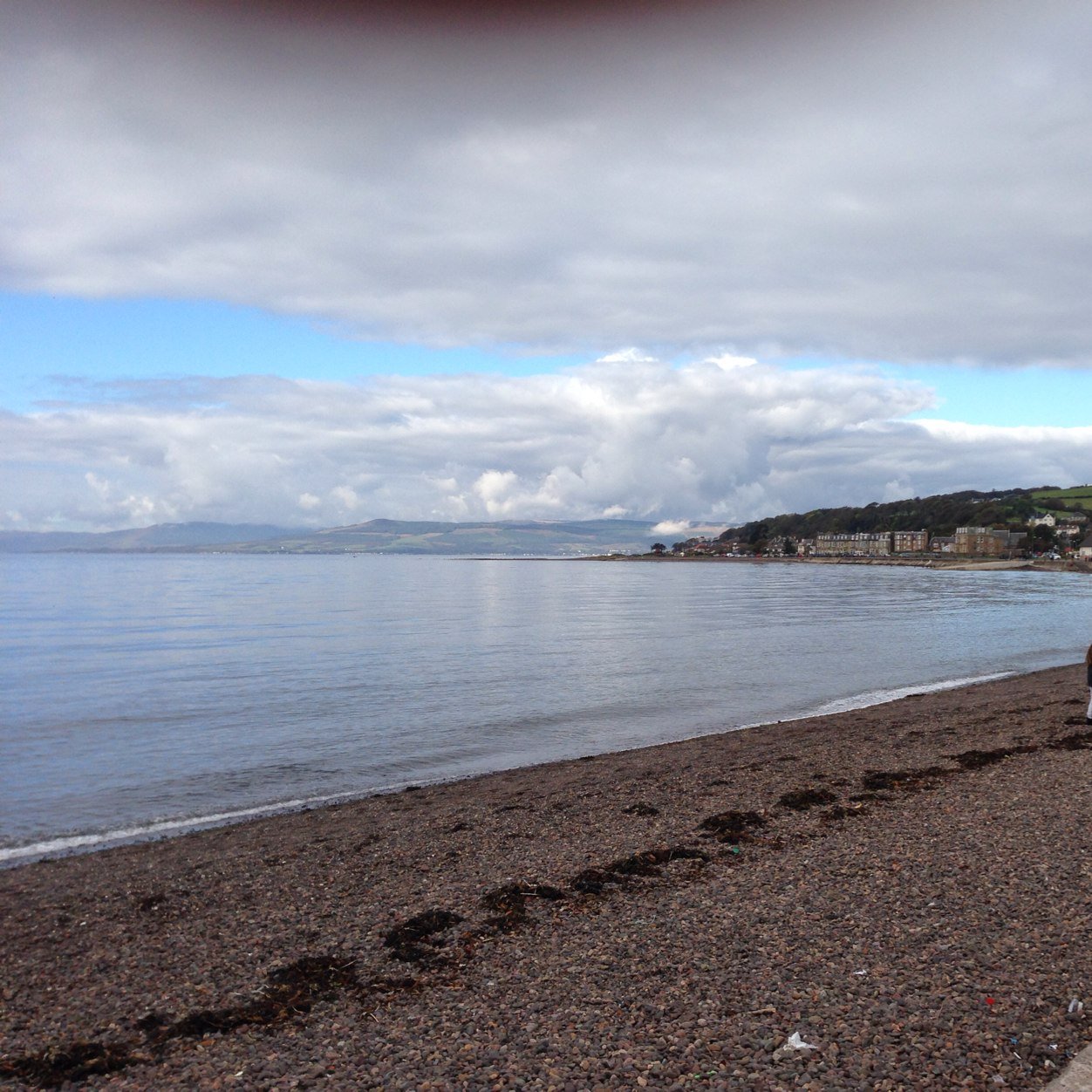 l_lulwa's profile picture. 