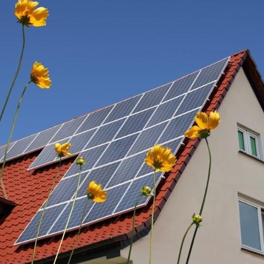 tuncay422's profile picture. 