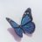 irishka4_irina's profile image