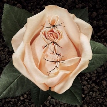 endingfgmnow's profile picture. join us to eradicate FGM and communicte with others who wish to do so