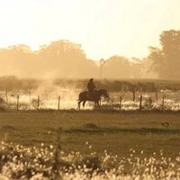 Jan Ploeger (@janploeger66) 's Twitter Profile