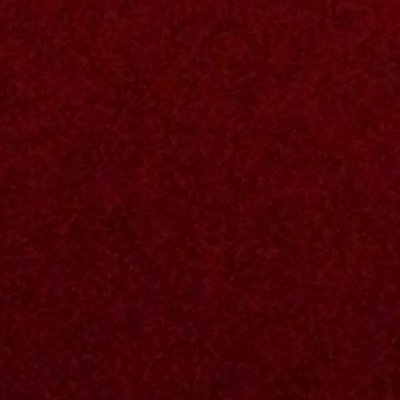 Amberwh01184724's profile picture. 