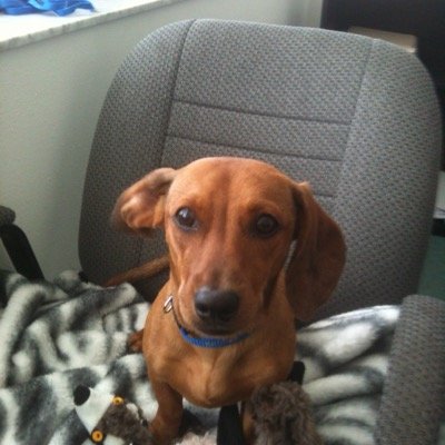 cschnappy's profile picture. 