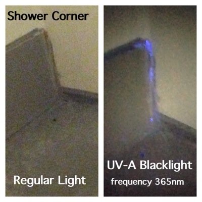 A good offense is the best defense against germs and bacteria. Why risk infection from germs you cant see in regular light when UV-A light can illuminate them!