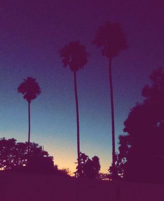 factsoflife0818's profile picture. Sometimes when things are falling apart they may actually be falling into place