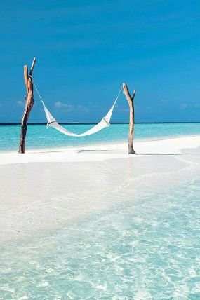 arganda1965's profile picture. 