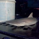 tim howe - @Tdh1427Howe - Twitter