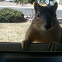 Roger Long - @Regil49 - Twitter