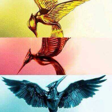 Lector. Corredor. Osado. Divergente. Distrito 12. Tributo. Leal.