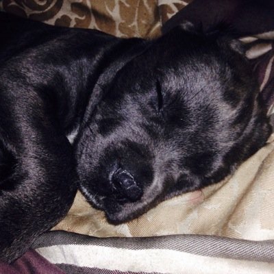 angela_stinky04's profile picture. Hi