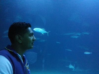 marcelosolis192's profile picture. 