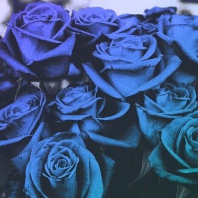 philosophaleeee's profile picture. [Paresse,Colère,Envie,Orgueil.]