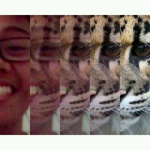 Comedian | Jangan anggep serius twit dari akun ini :) | Adv: muhamadrizki198a@gmail.com
