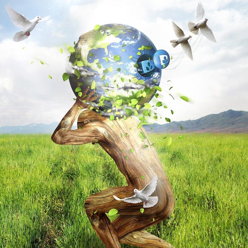 garsosiela's profile picture. Hey :)