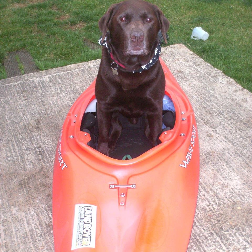 beckyboo200311's profile picture. 