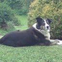 Anne Hunter - @annehunter131 - Twitter