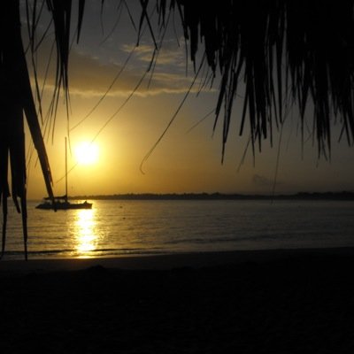 GoBatsNewmarket's profile picture. For all your transport needs in and around Newmarket, we have a range of cars and MPV's with Executive side if required. Call us on 01638 596465