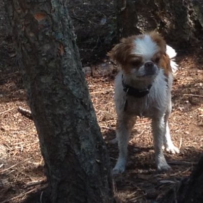 KingnArlo's profile picture. mtg players are some of the whiniest people ever