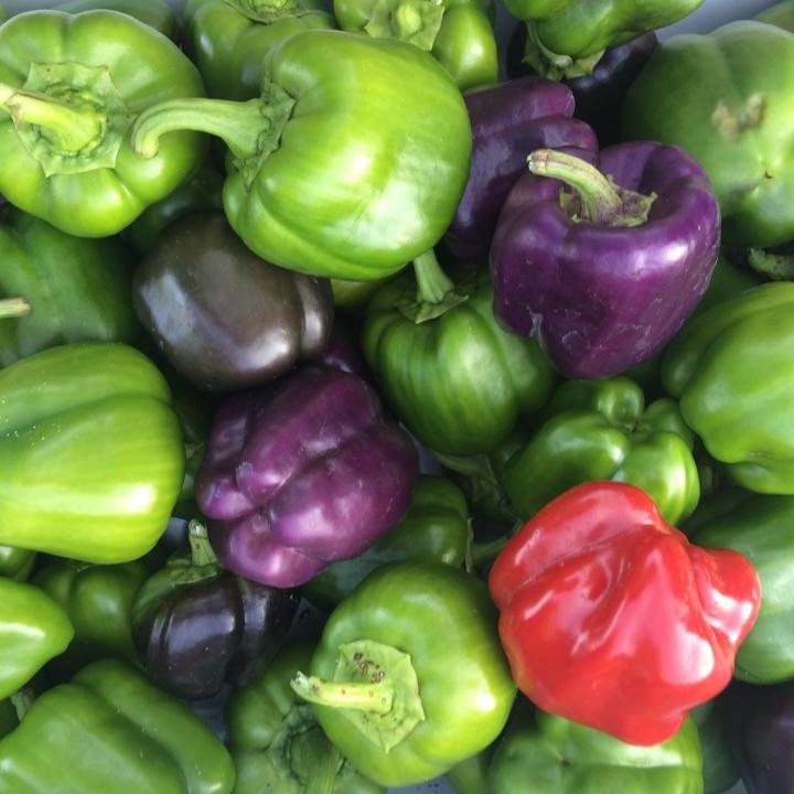We are your garden consultant. Specializing in organic, hydroponic and aquaponic growing techniques, our goal is to help you grow the best garden of your life!!