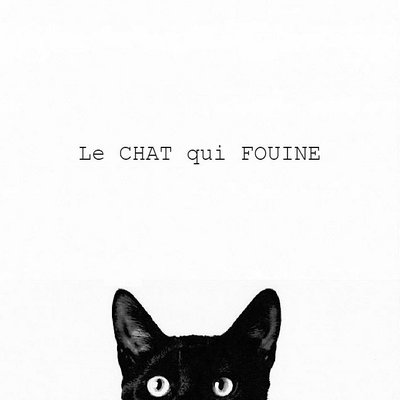 Le Chat Qui Fouine Lechatquifouine Twitter Le Chat Qui Fouine Lechatquifouine Twitter