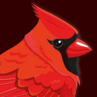 Pájaro Rojo 🐦 (@juanjosesalinas) 's Twitter Profile
