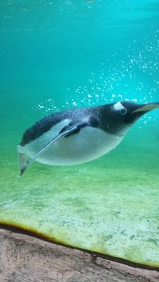 dloughran154's profile picture. 