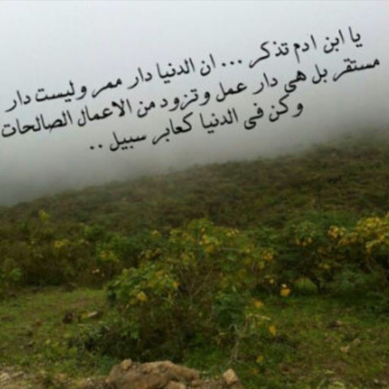 هذا الحساب صدقة للوالدين اسال الله ان يتقبلها ويغفر لهما https://t.co/JylRWiOCMK