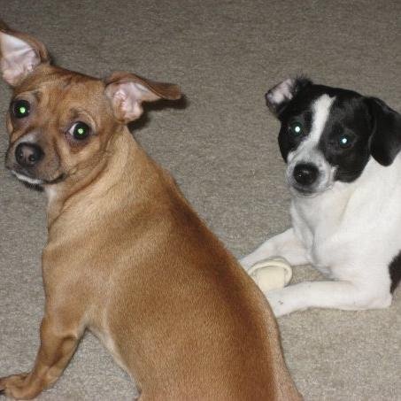 KaylaLEvans's profile picture. Louisiana