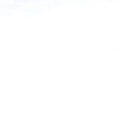Atual: @blestlovesophia
