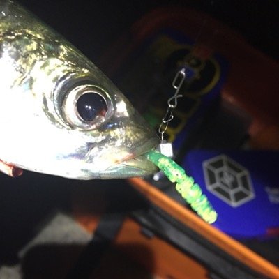 robotarm1's profile picture. 