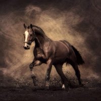 مطلوب سالب دفيع قطر (@dohasexy) Twitter profile photo