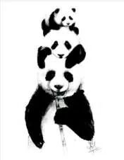 dobstep19's profile picture. 