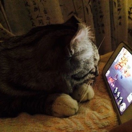 unixdn's profile picture. 