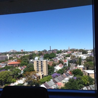 bigpawspeter's profile picture. 