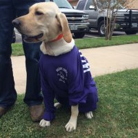 Doug Orr (@rdouglasorr) 's Twitter Profile