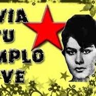 venenochavista Profile Picture