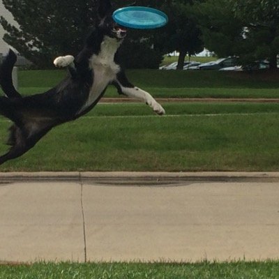 gergwilcox's profile picture. 