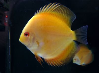 AquascapeBCN Profile Picture