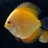 AquascapeBCN's profile image