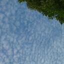 Christine Bryant - @chrisyannbryant - Twitter