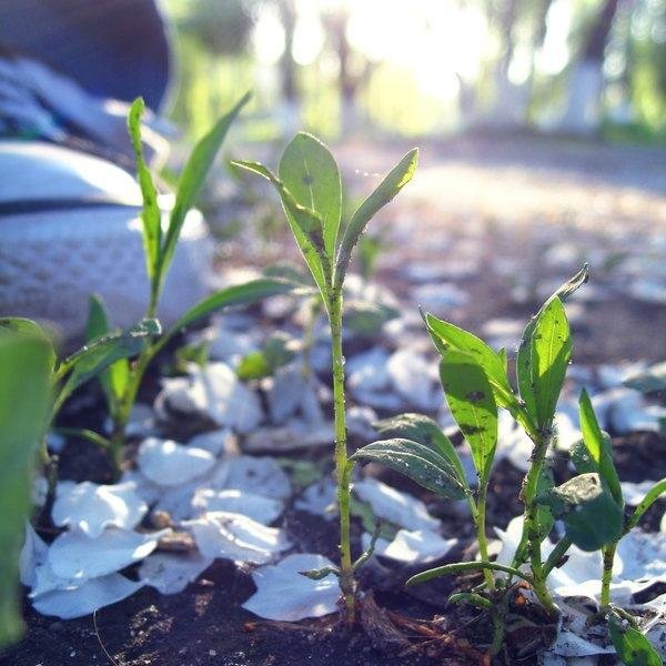 MagiForge's profile picture. Пытаемся переводить на русский.