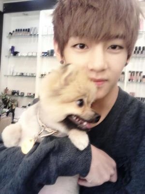 ชื่อ: V (คิม แทฮยอง) 
ตำแหน่ง: ร้อง
วันเกิด: 30 ธันวาคม 1995
กรุ๊ปเลือด: AB
ชื่อเล่น: แทแท (เพื่อนเรีกผมว่าแทแท~ เพราะมันเรียกง่ายดี)
