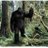 BryanMcfayden's profile image