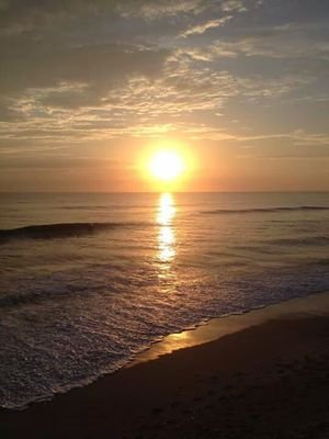 lacie802's profile picture. 