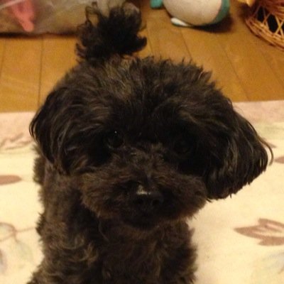 mfsms345's profile picture. 趣味はサッカー、ダイビングをやってきましたが最近はその機会がなく、新しい友達を探してます。