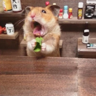 スキャルピングを極め隊