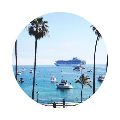 Laurenzi43's profile picture. All the pain you feel now is nothing compared to the joy that WILL come