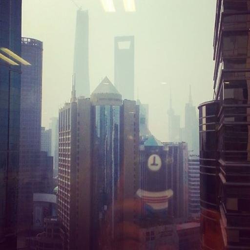 LauraCat_Social's profile picture. #Communication #Marketing #Business #development #promotion #information