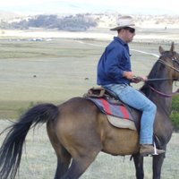 Robert Taylor (@robertt23927730) 's Twitter Profile