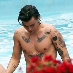 HIII FOLLOW @lolnohes SHE FOLLOWS BACK JUST ASK